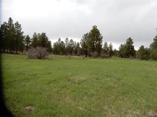 48132983-0