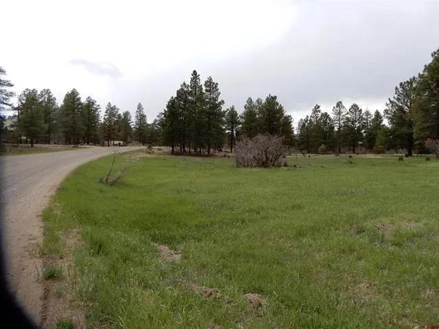 48132983-13