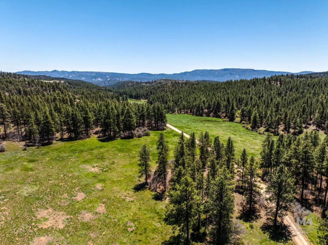 Fosset Gulch Ranch