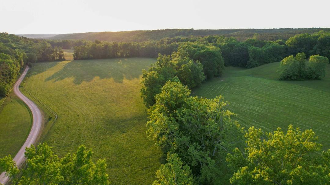 Wades Branch Farm