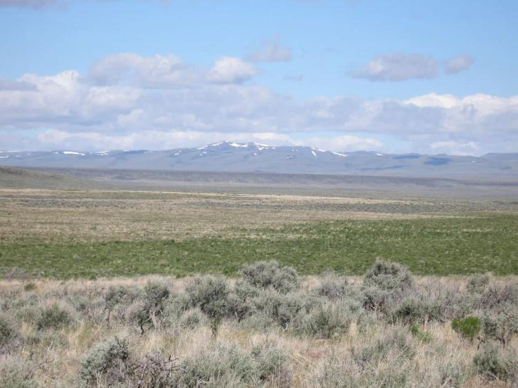 Remote Oregon Outback * Scenic 80 acres