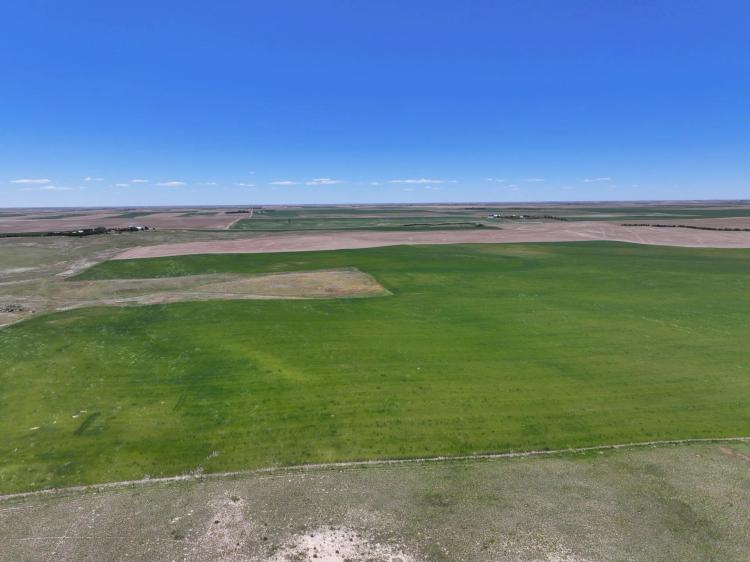 295 Acres, Cheyenne County Dryland Farm