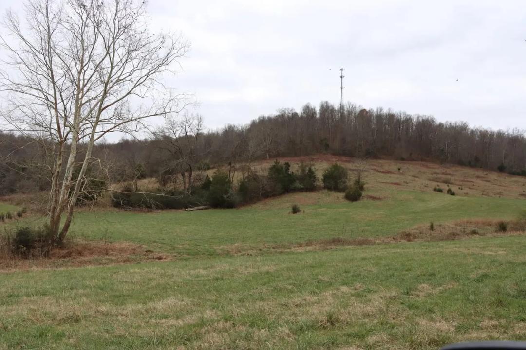 Deer Hunting & More