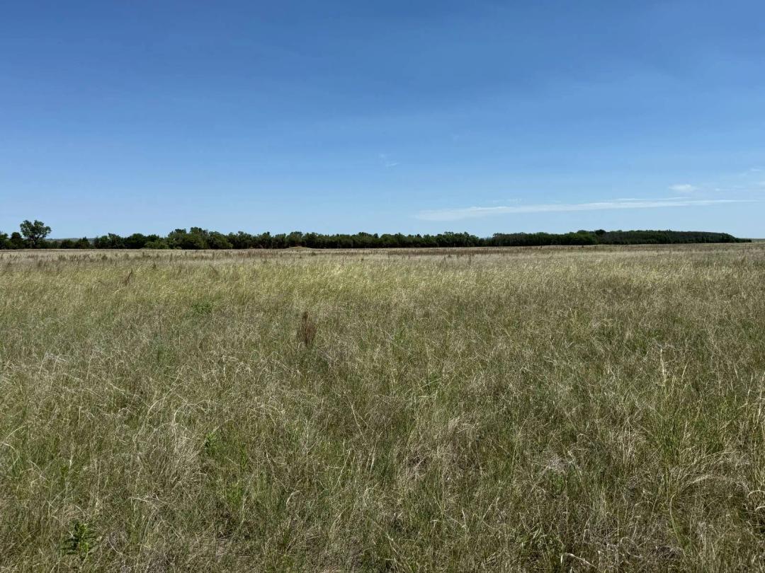 360± Acres of Productive Holt County Pasture