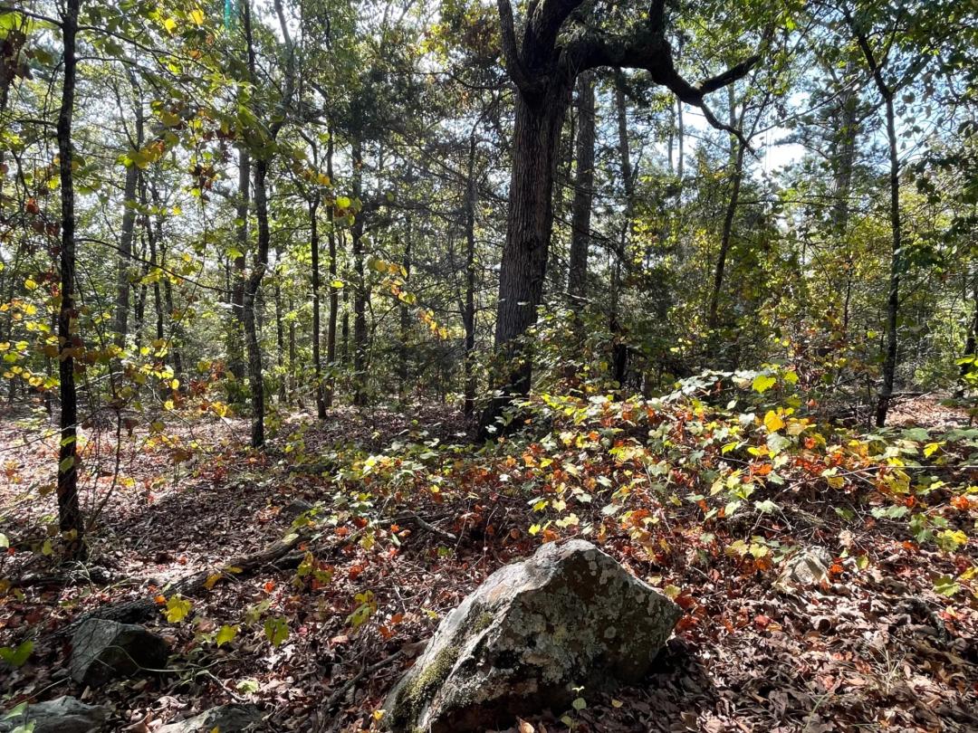15.25 Acres at 15 Antlers Road