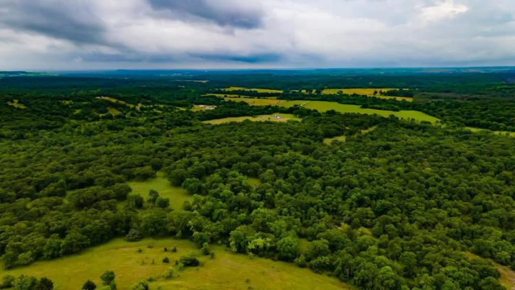 Recreational Hunting Tract in Osage County