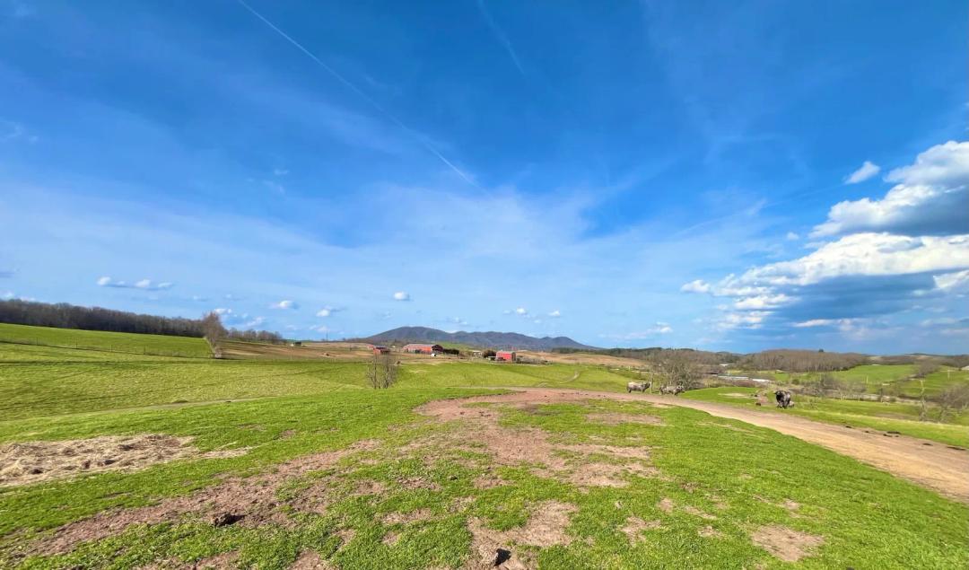 Working Animal Farm 65.8 acres, multiple homes all cross fenced!