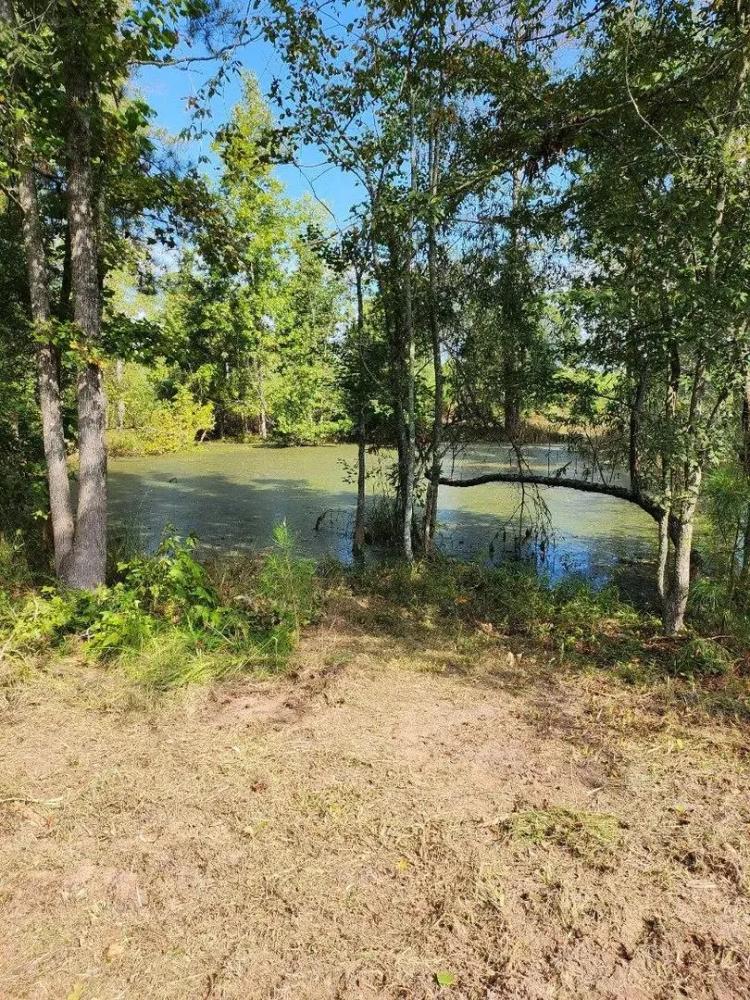 68 Acres in Scott County, MS