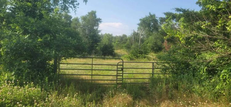 COUGAR RIDGE RANCH - SUPREME HUNTING LAND - NEW PRICE!
