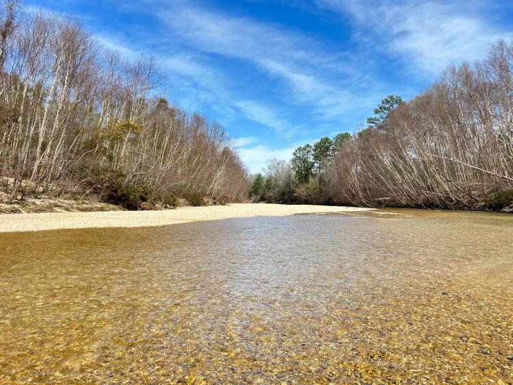 156 Acres in Amite County, MS
