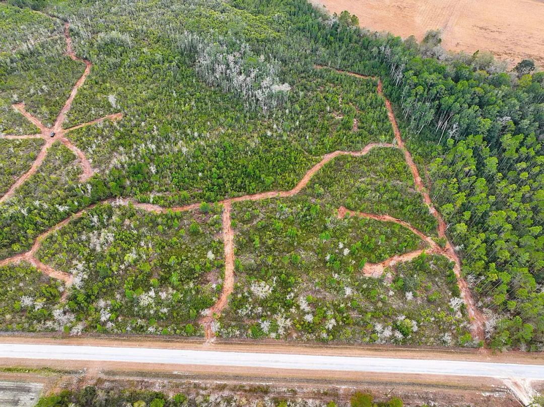 40+/- Ac Land for Sale in Pierce County, GA -Tract 7 Tudie Road 