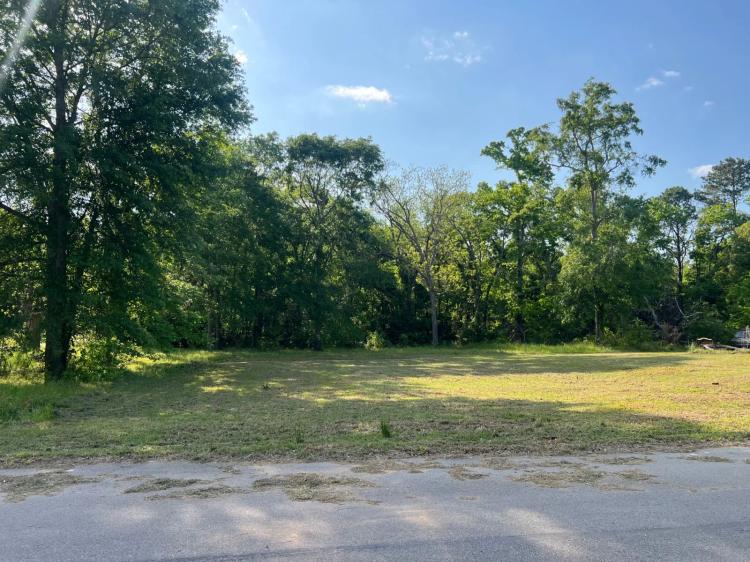 1 Acre Vacant Lot in Olar, SC