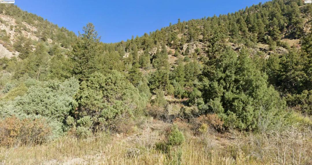 25% Undivided interest in Patented Mining Claim Mountain Land Clear Creek Colorado