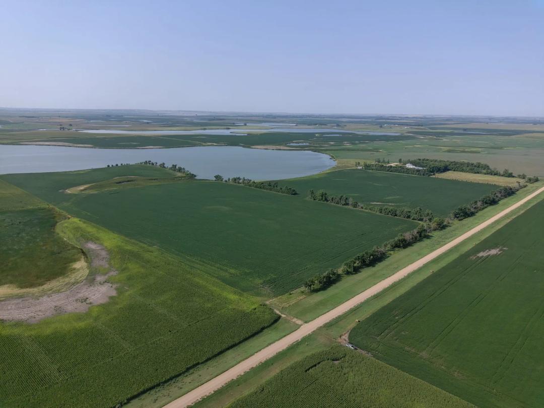 138.52± Acres | Northwest Township | Dickey County, North Dakota
