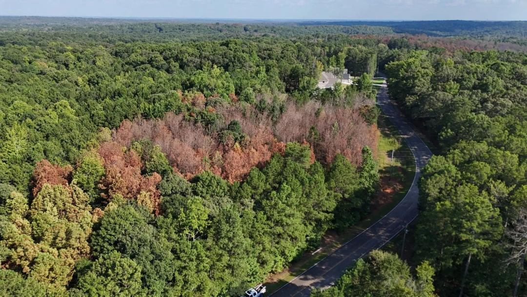 Tract B - Cool Springs Rd, Douglas Co., GA