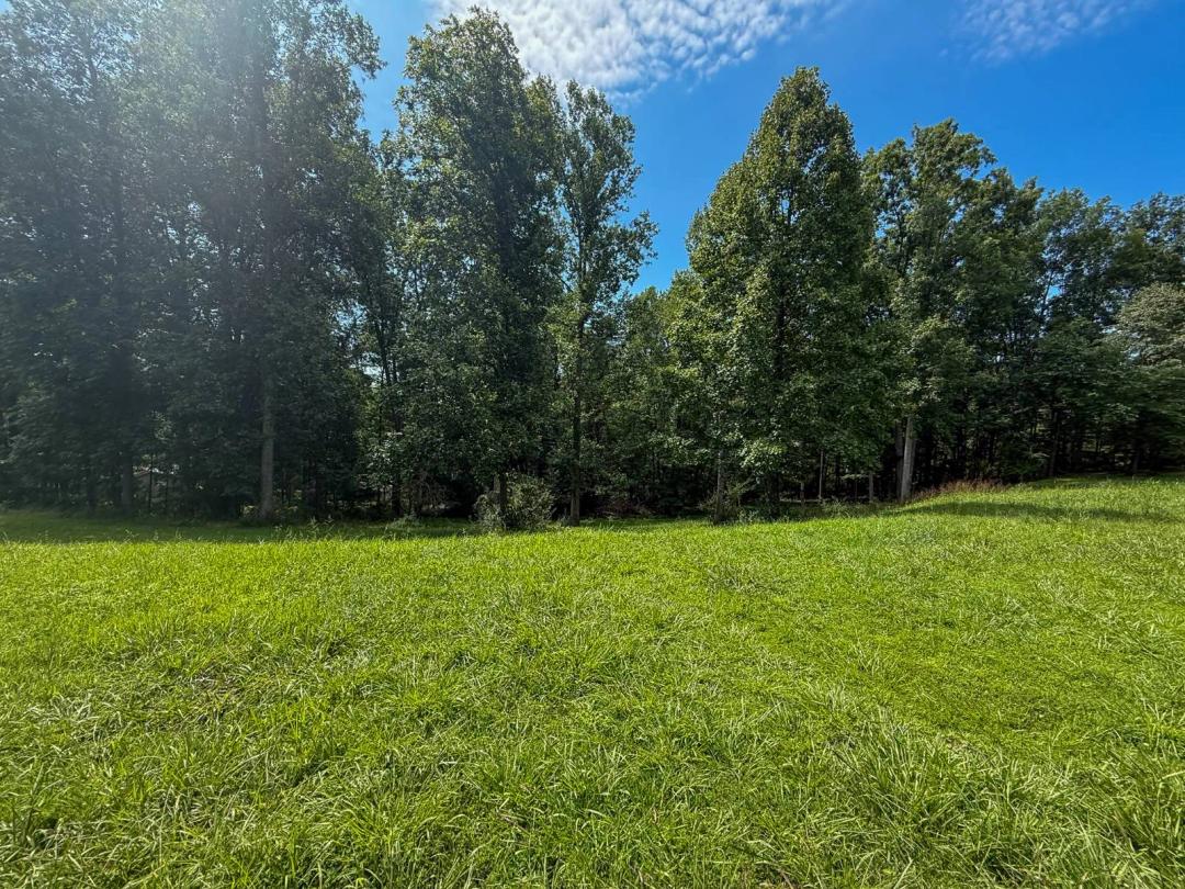 1.36 Lot great for Camper! Napier, WV