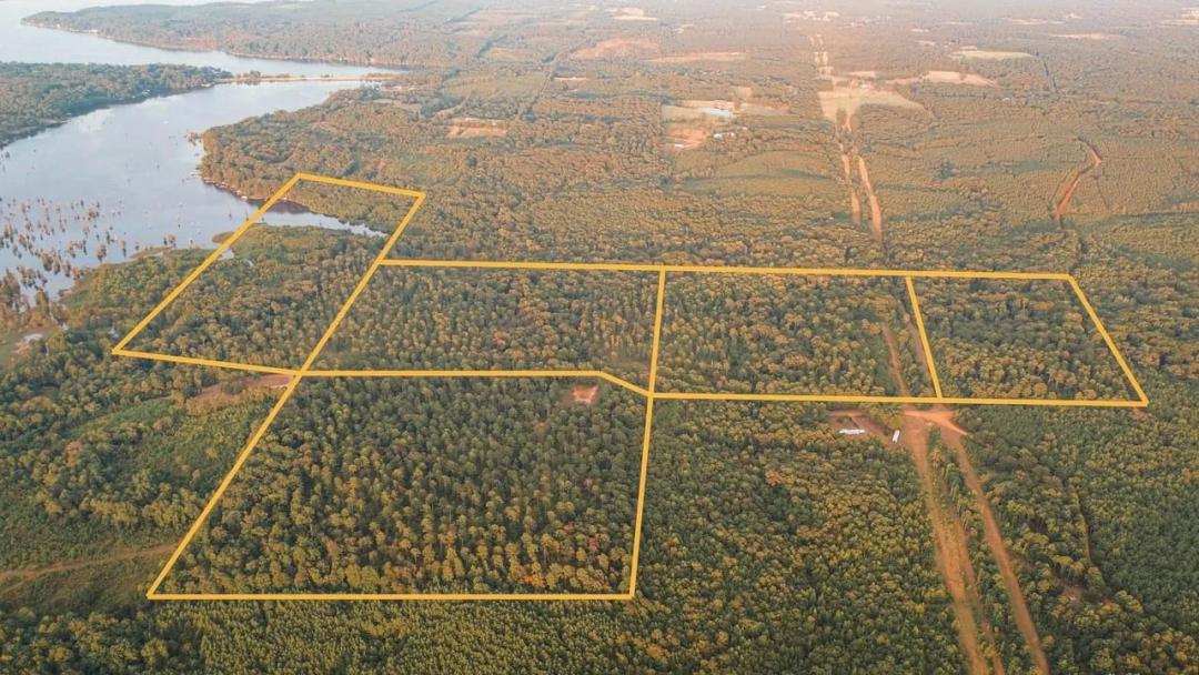 Lake D'Arbonne Land for Sale