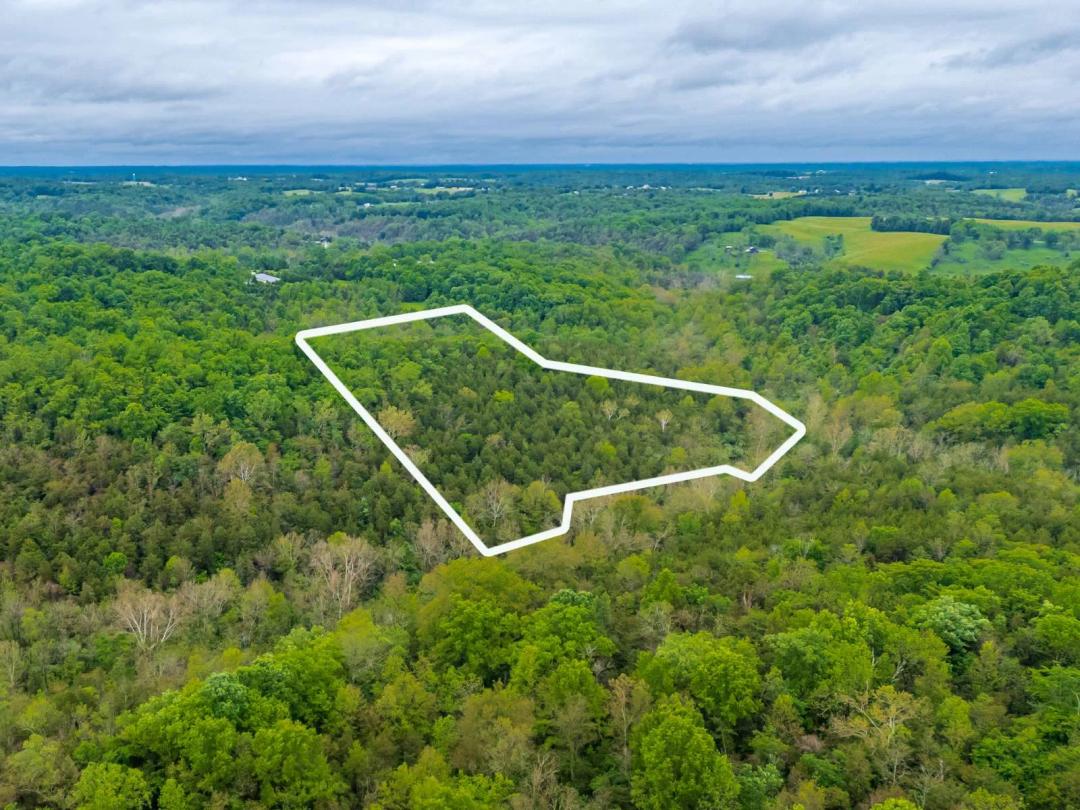 23.011 Acres of Prime Hunting Property