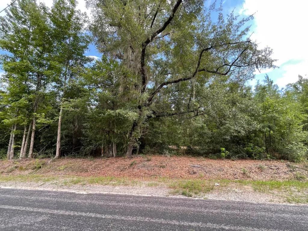 LAND FOR SALE / JASPER COUNTY / LOWCOUNTRY