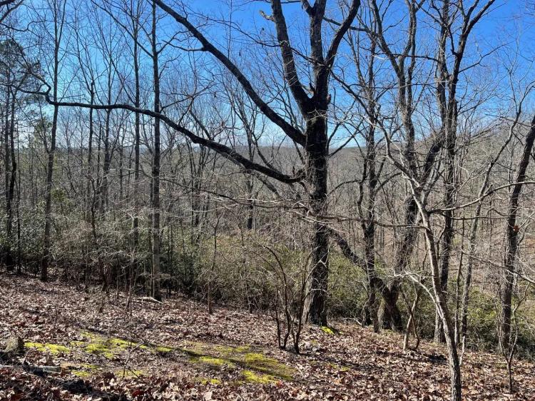 TURKEY HAVEN MOUNTAIN - LOT 4