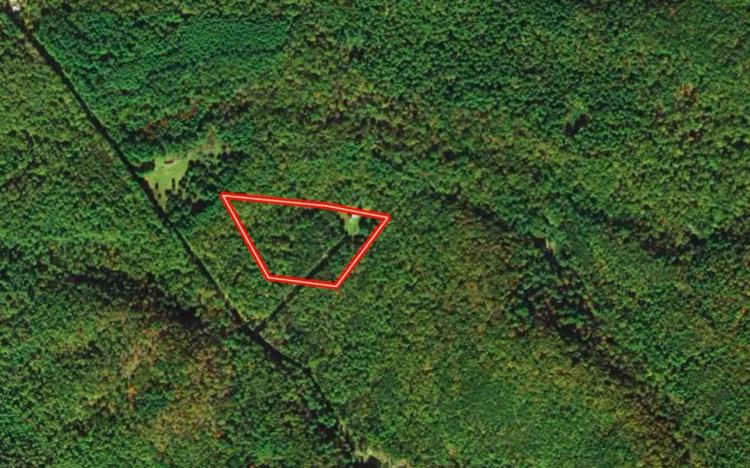 UNDER CONTRACT!!  6.09 acres of Land with Rustic Cabin For Sale in Augusta County VA!