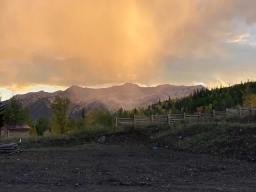 IMG_3641 (1)