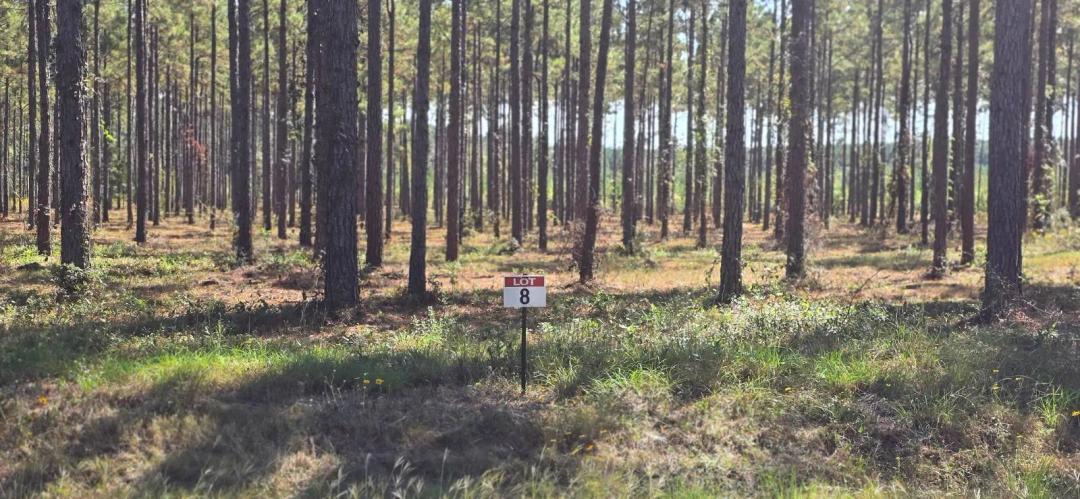 0.57 Acres at 08 Army Recreation Rd