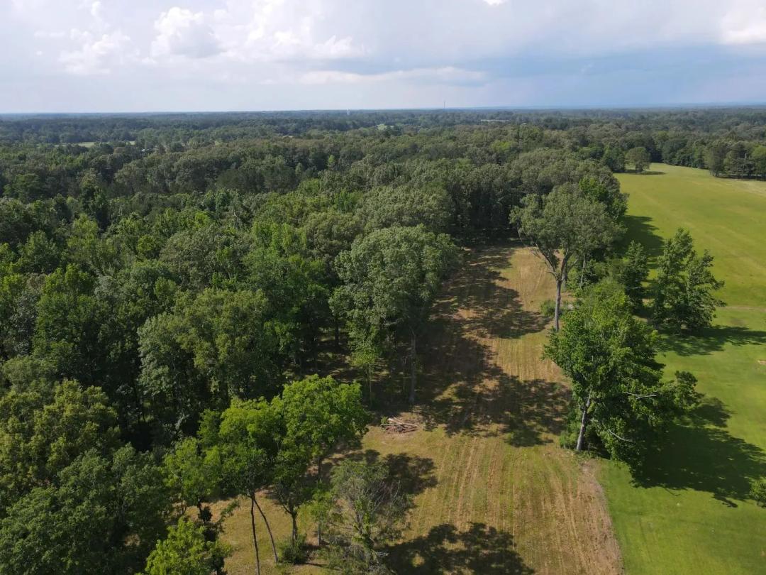 7.83 Acres in Madison County, MS