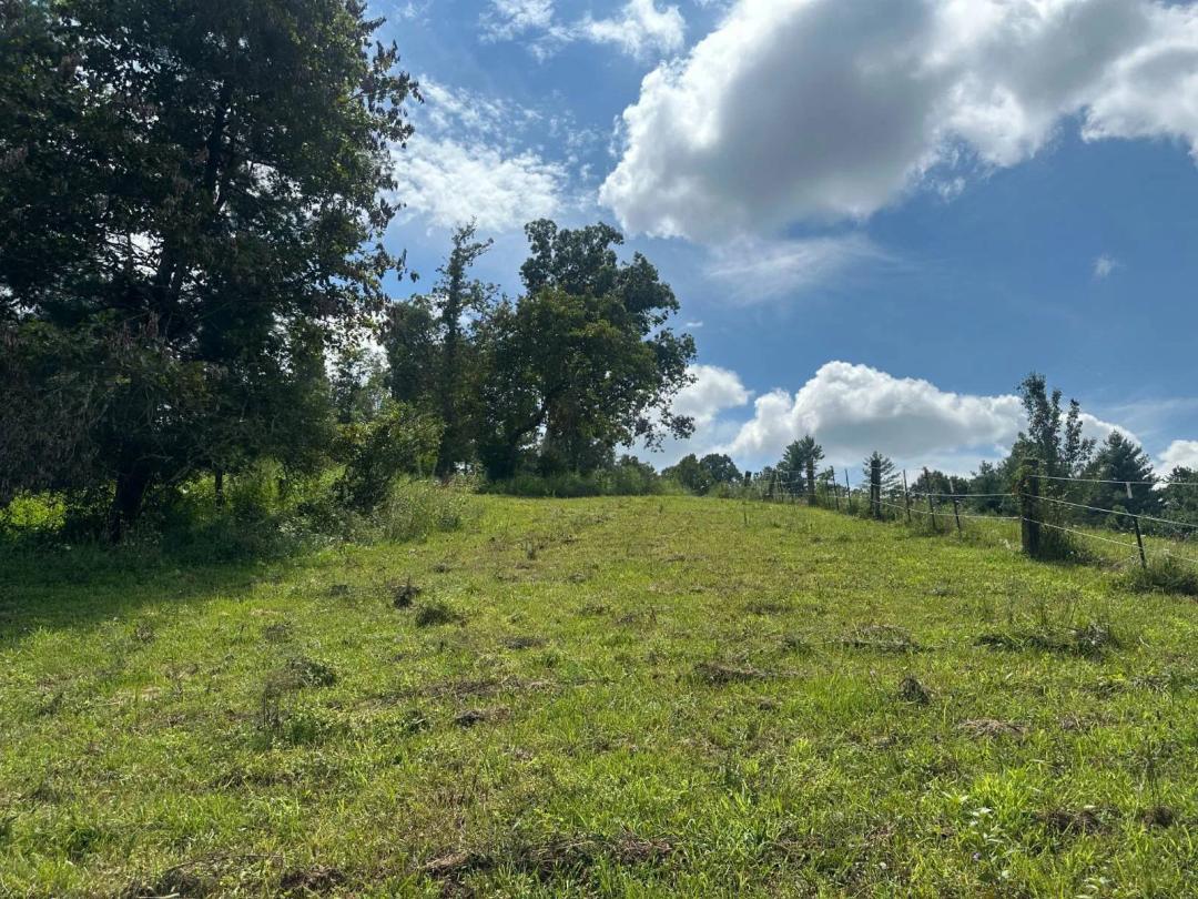 Pristine Escape to 5 acres with Creek