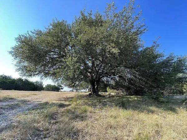 50 Acres Burnet County