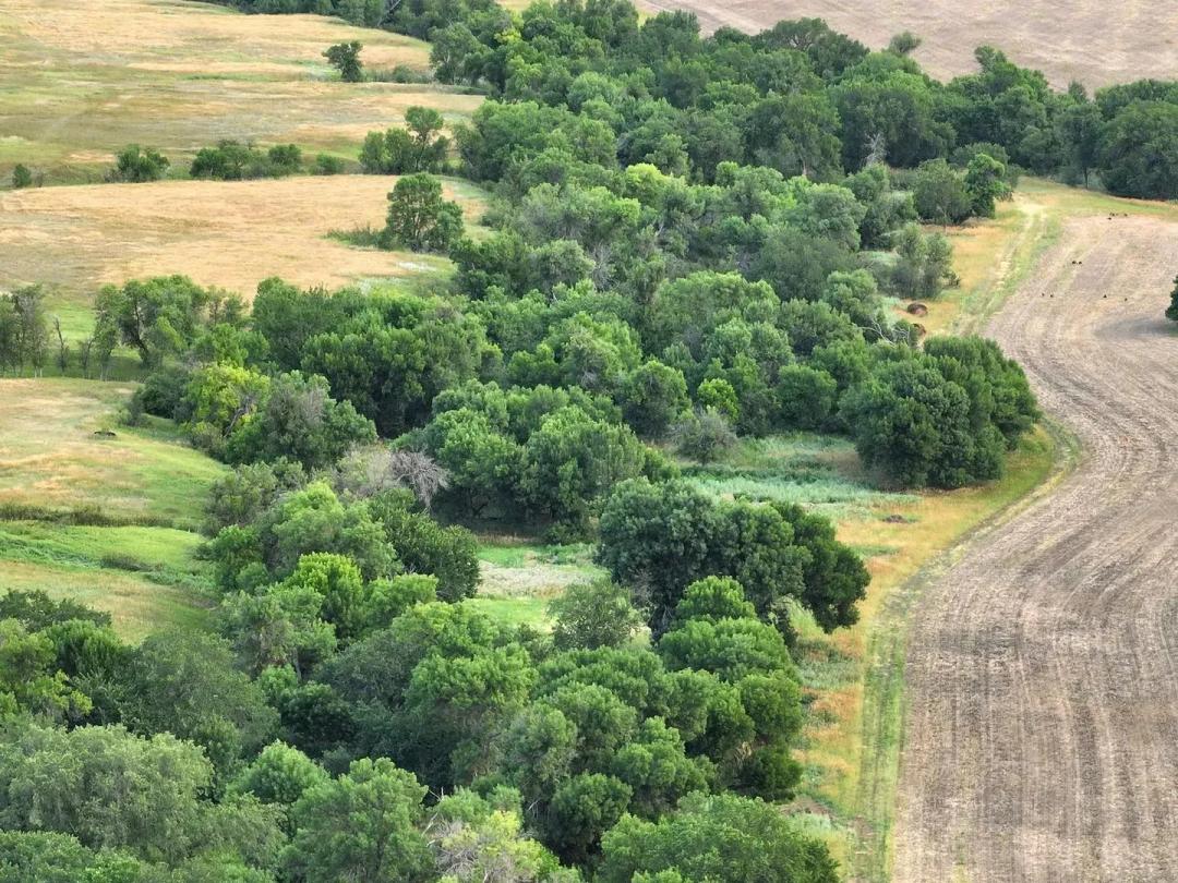 White River Hunting Mecca