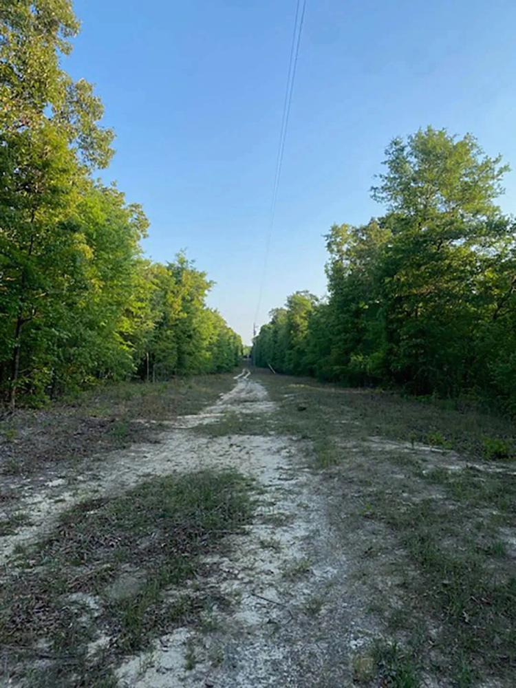 4.9 Acres in Burke County, GA 