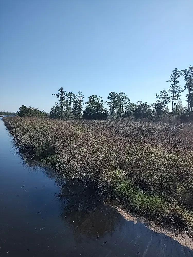 Affordable Hunting Land in Eastern NC