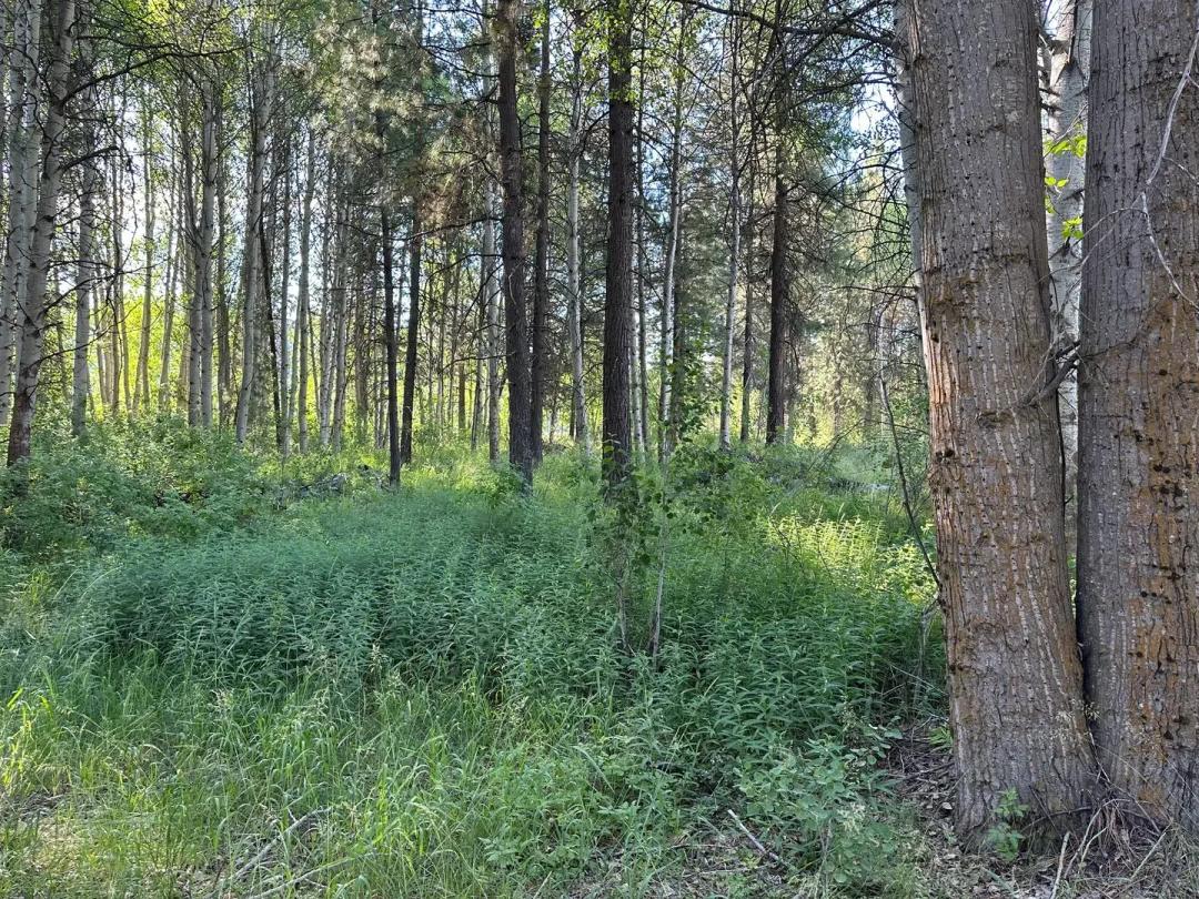 Vacant Land (0-10 Acres) in CHILOQUIN