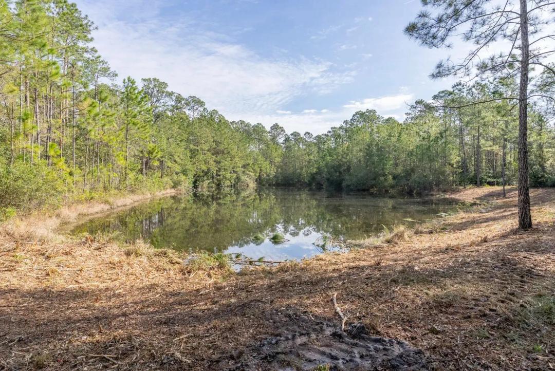 41 Acres on Little Satilla River Estate