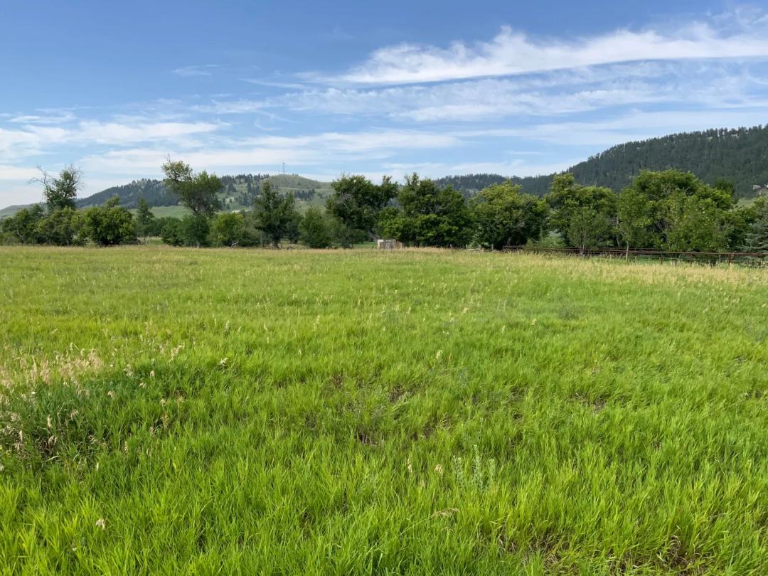 Rare Well Lot - 755' Minnelusa Well, Abundant Free Flowing water