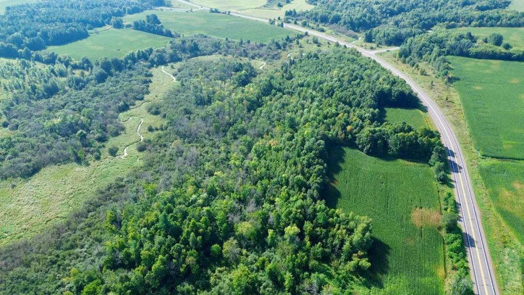 17.87 Acres with Tillable Ground, Mature Timber & Highway 27 Access — Chippewa County