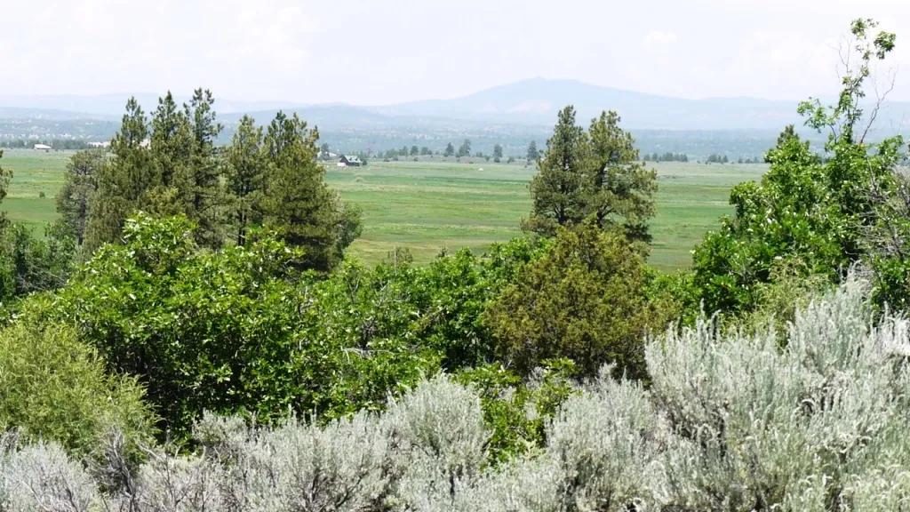 3 adjoining Lots Tzama Northern New Mexico Tierra Amarilla - Trees