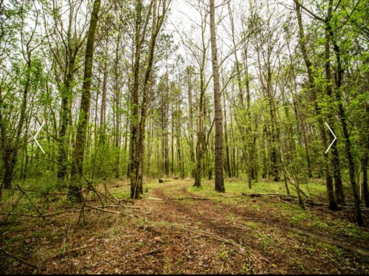 +/- 70 Acre in Scott County