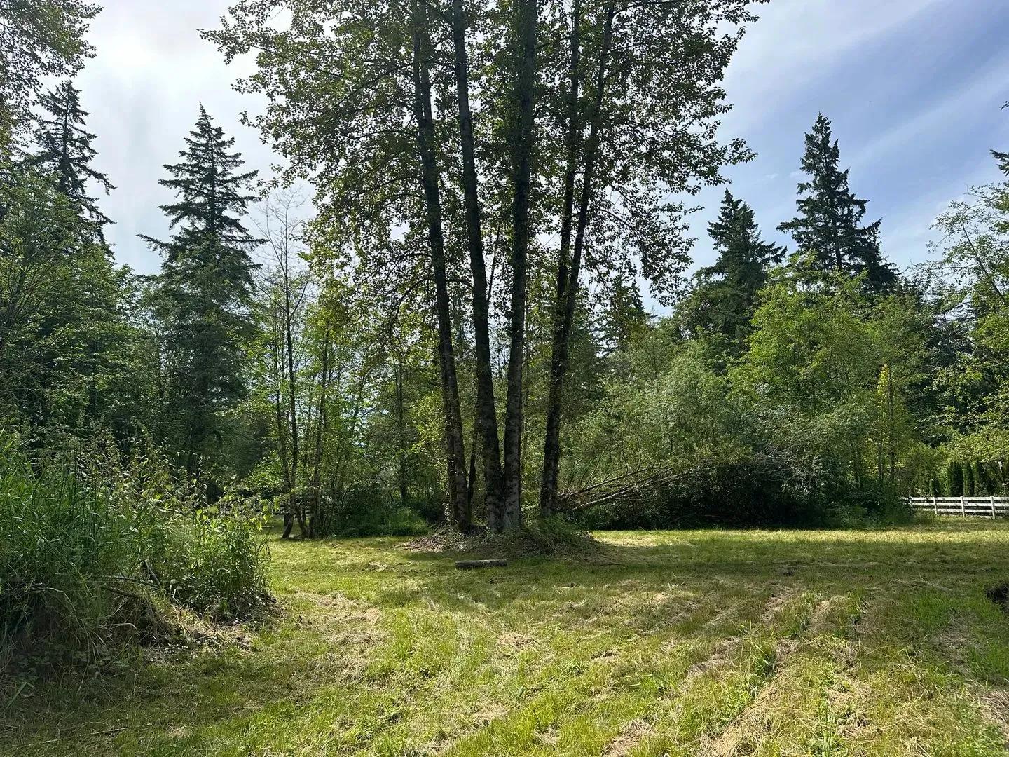 48865706-0