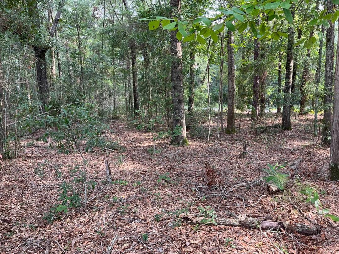 4 Acres of Vacant Land Near Yemassee, SC