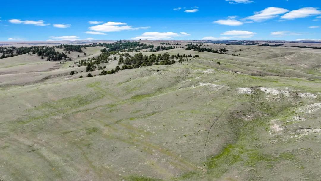 Marsland Grass Ranch