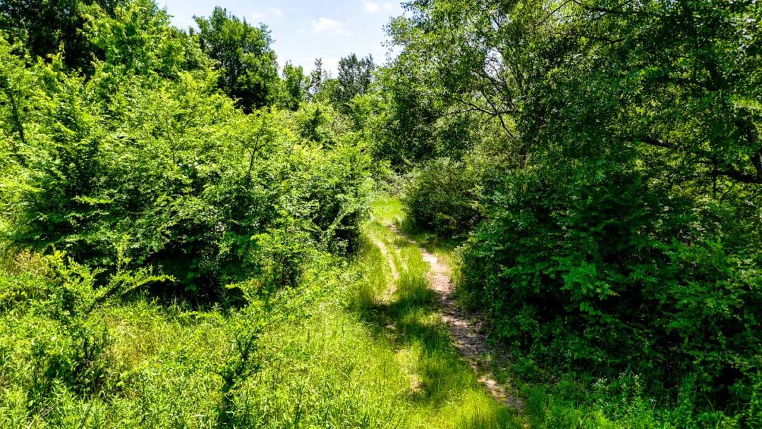 3.5 Acres Near Hochatown &amp; Broken Bow Lake with Power Available!