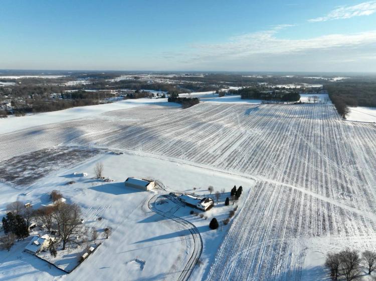 77.99 Acres +/- , Tillable with irrigation well, Coloma, MI