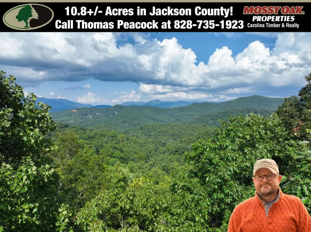 10.8+/- Acres in Sylva, NC!