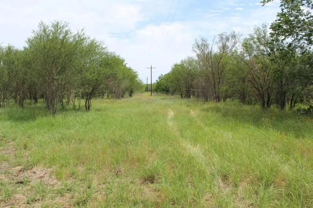 Owner financing in Goliad County near Charco!