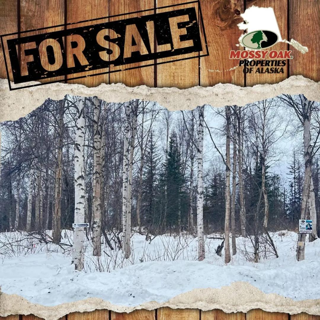 1.11 ACRES near Kenai with driveway and POWER
