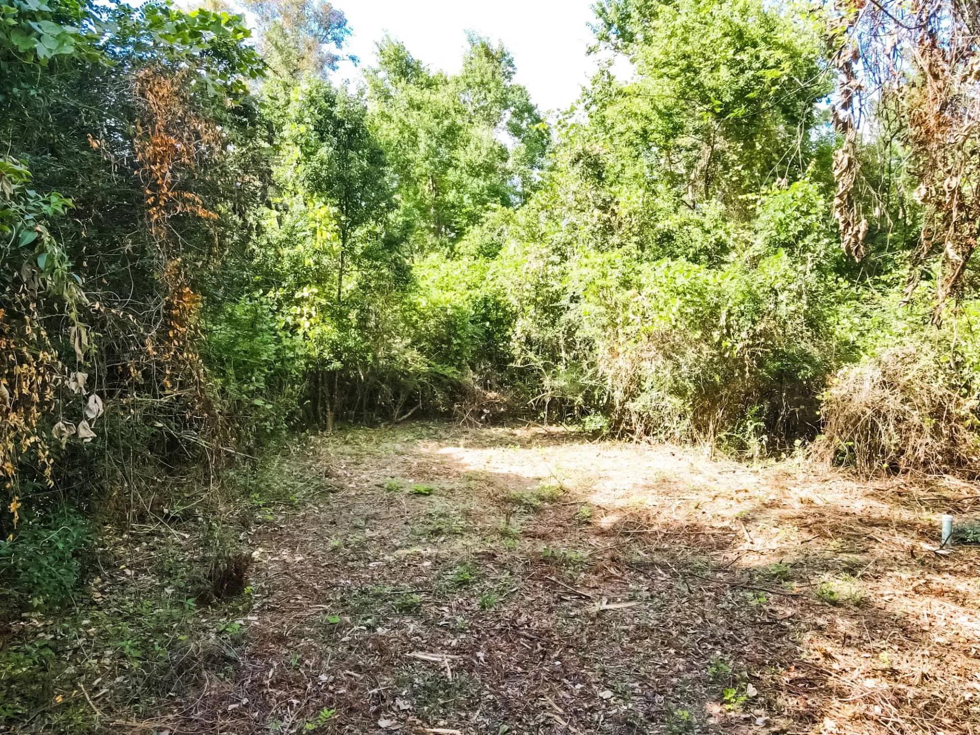 4896734-5