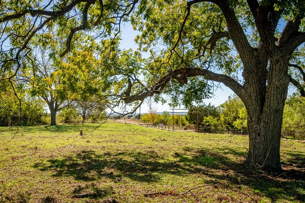 118.4 Acre Recreational Property