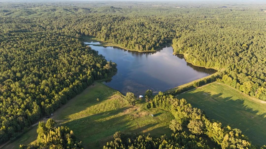 465 Acres in Calhoun County, MS 